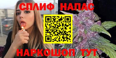 спиды Вязьма